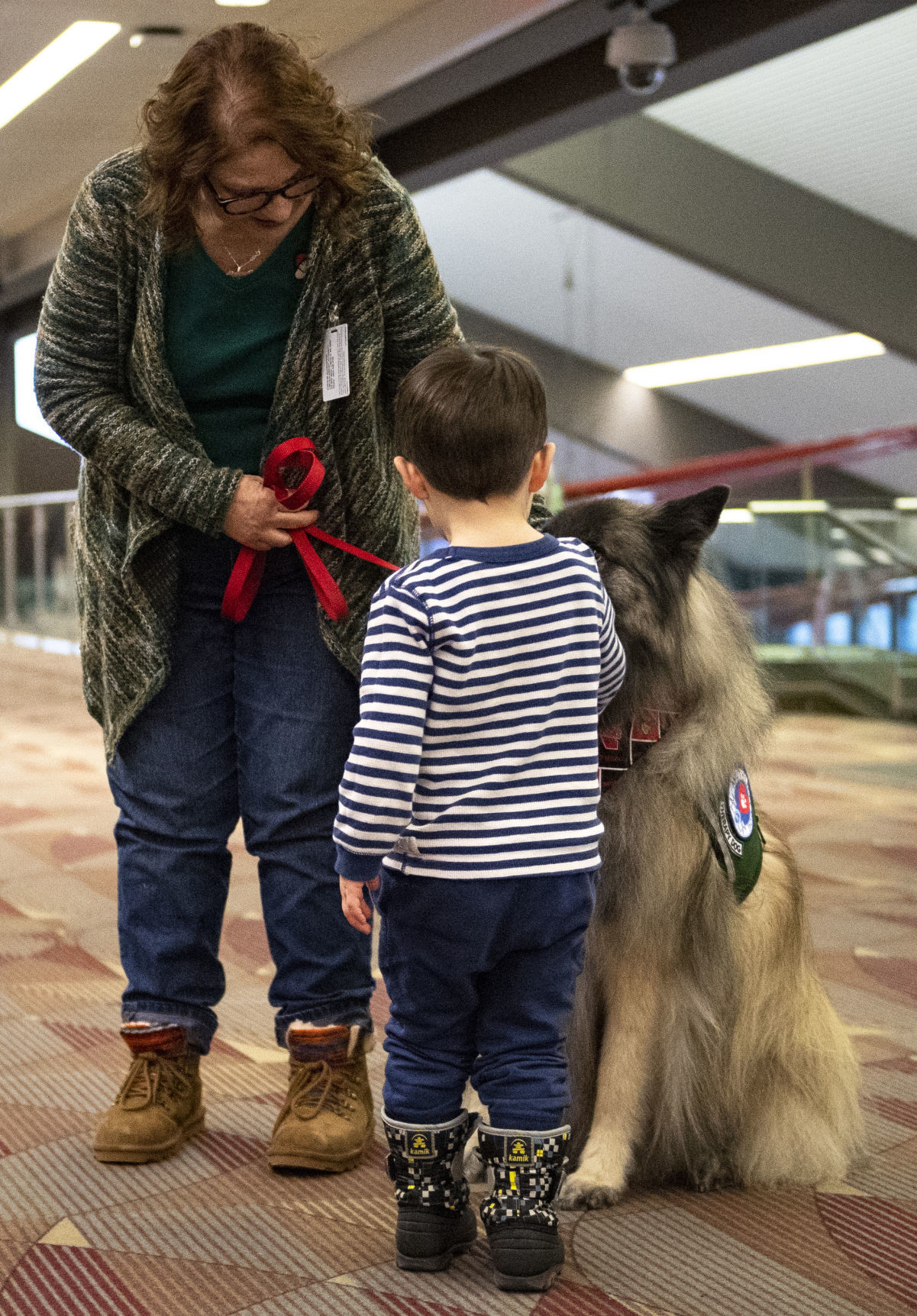 Airport dogs, 1.18